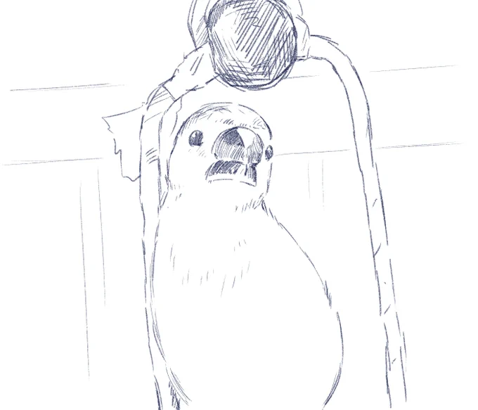 もっといっぱい写真撮ってあげればよかったなぁ.... 