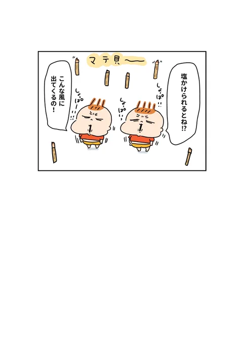 マテ貝ブーム👶👶 