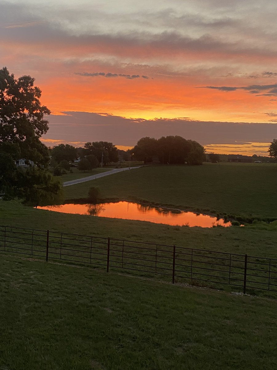 TeresaParson2's tweet photo. “Oh, what a beautiful mornin’” https://t.co/rifchNQEvg