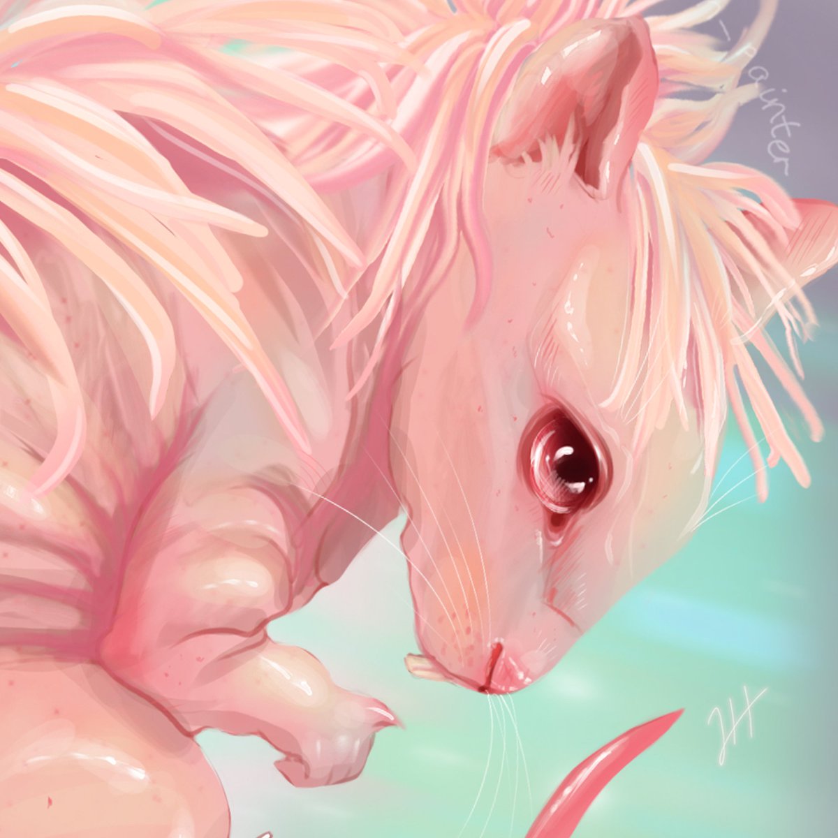 VhPainter's tweet photo. Rastopyrnik, or Goregubka (Murtlap)
This is the third inhabitant of Newton's book Salamander ...
🌊Murtlaps are sea animals that live in the coastal areas of Britain. It is also a rodent species with a back growth resembling an anemone.
#murtlap #FantasticBeasts #harrypotter #art https://t.co/KVAxPZEkoZ