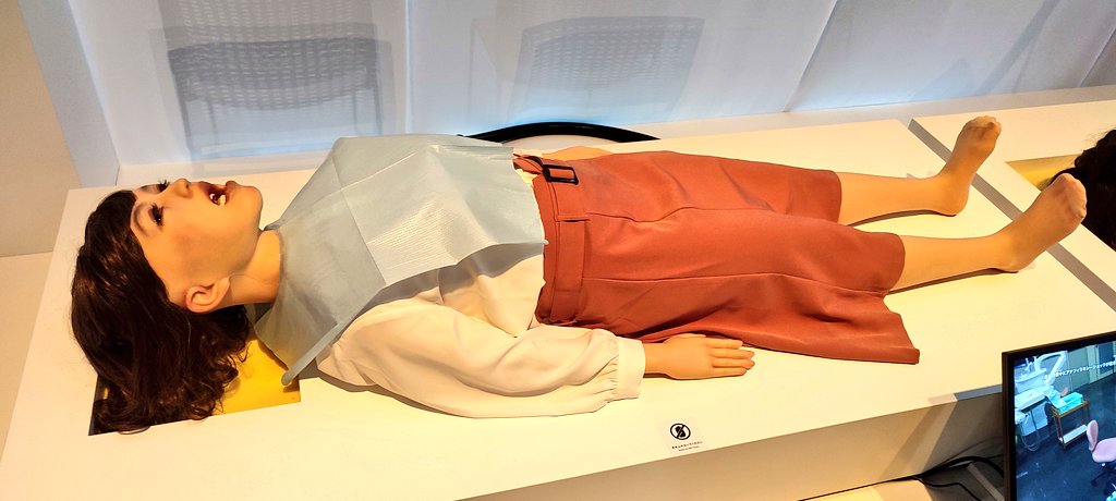 きみとロボット展を見ました。脳波を読み取って義手やゲーム操作に使う時代が現在になっていた、凄いですね。
あと4枚目はズルいと思う。 