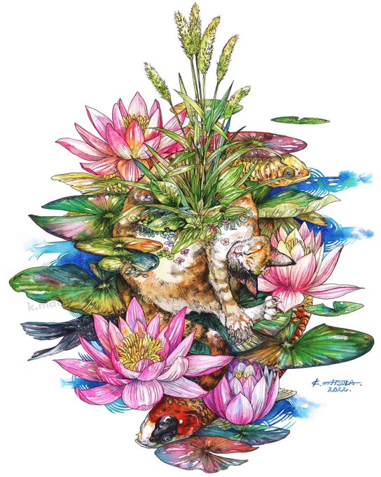 「lotus white background」 illustration images(Latest)