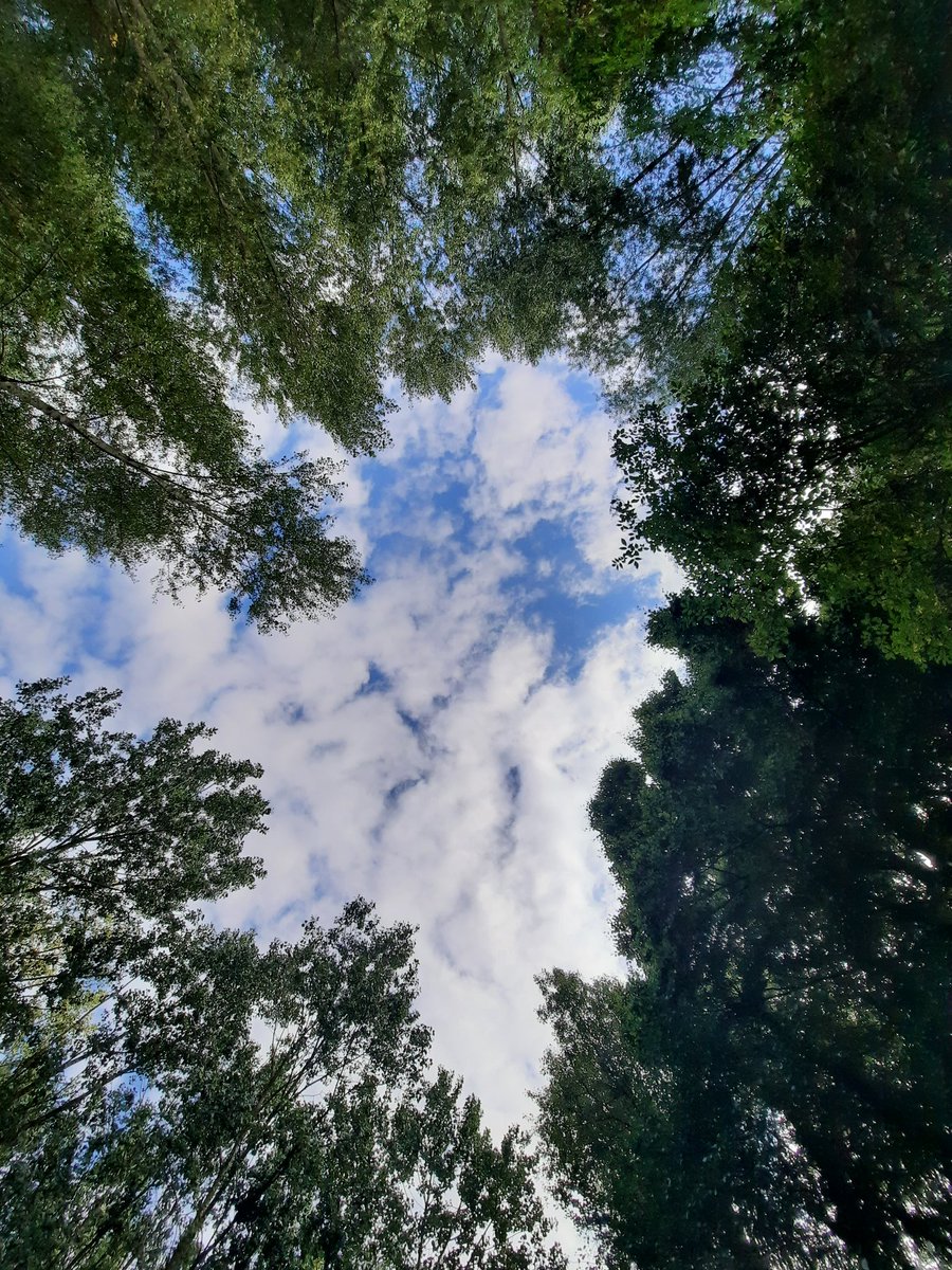 Smischken's tweet photo. Lay down in Nature and enjoy life #vrtweer #14u00 #grimminge #22graden #natuur #weerfoto https://t.co/8qnYHnNsTm