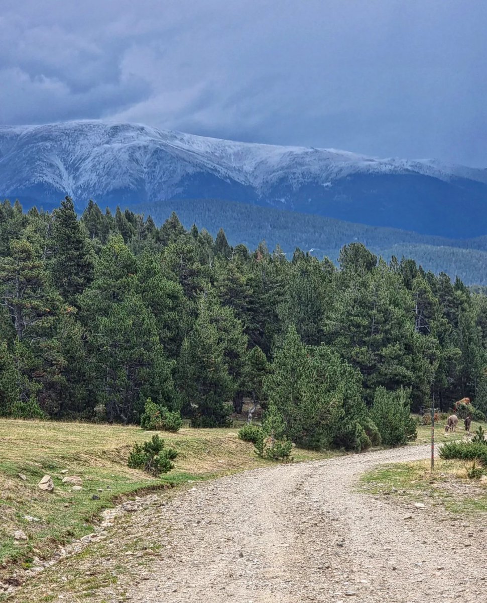 ricardrigall's tweet photo. La Carbassa, ahir a la tarda, ben blanca de la pedregada fruit de la forta tempesta. #lacarbassa #pratmiró #arànser #aransa #llesdecerdanya #cerdanya #bicicleta #btt #mtb #estiu2022 https://t.co/ViZH3EhN5C