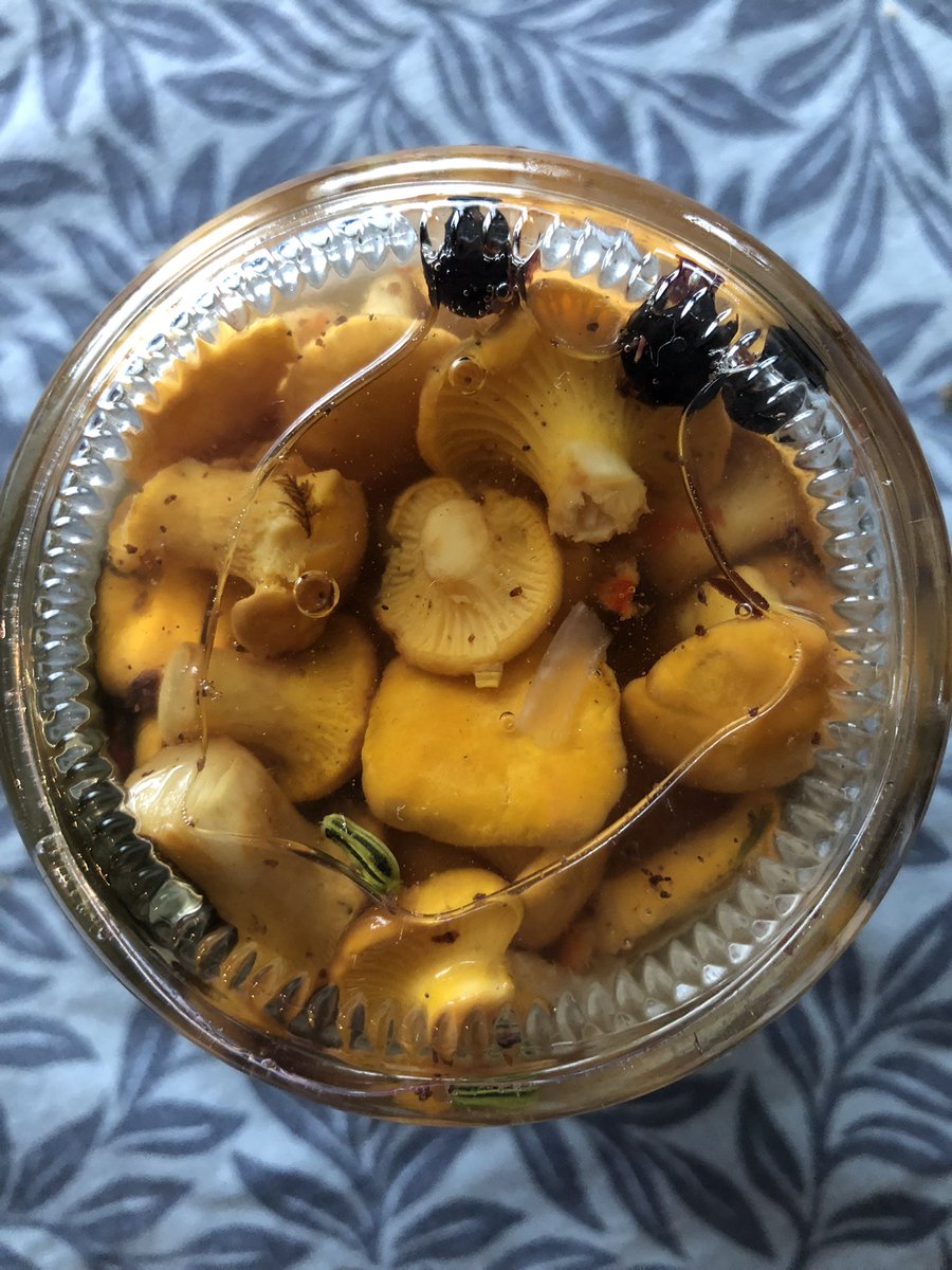 PolarIceQueen's tweet photo. Nature provides. #forestfood #foraging #brine https://t.co/Dyj0lYryYc