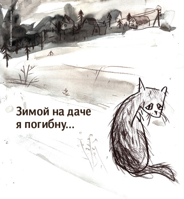 Не бросайте на даче своих домашних питомцев.Становитесь людьми,я уже не говорю ,что человеками.