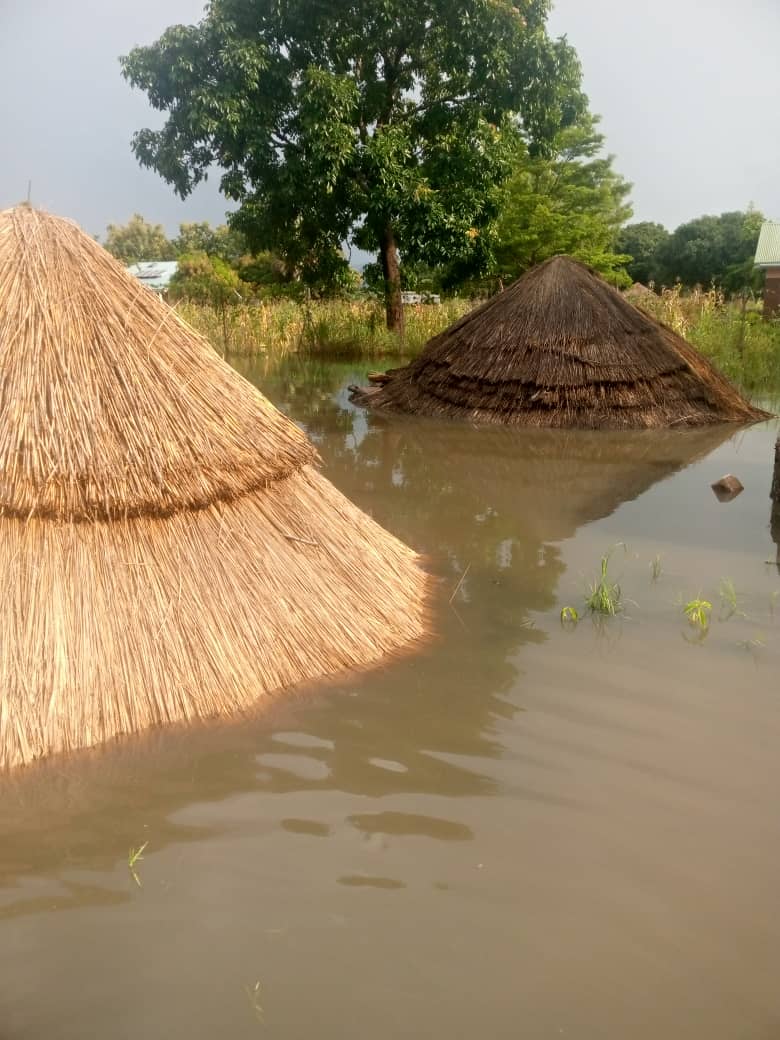 UgandaRedCross's tweet photo. Floods submerge houses and gardens in Adjumani. Our field team reports after a rapid assessment. Heavy rains continue to cause damage especially in low-lying areas. 
@opmdpm @IFRC_DREF @IFRCAfrica @GovUganda https://t.co/YIMRsuYWnW