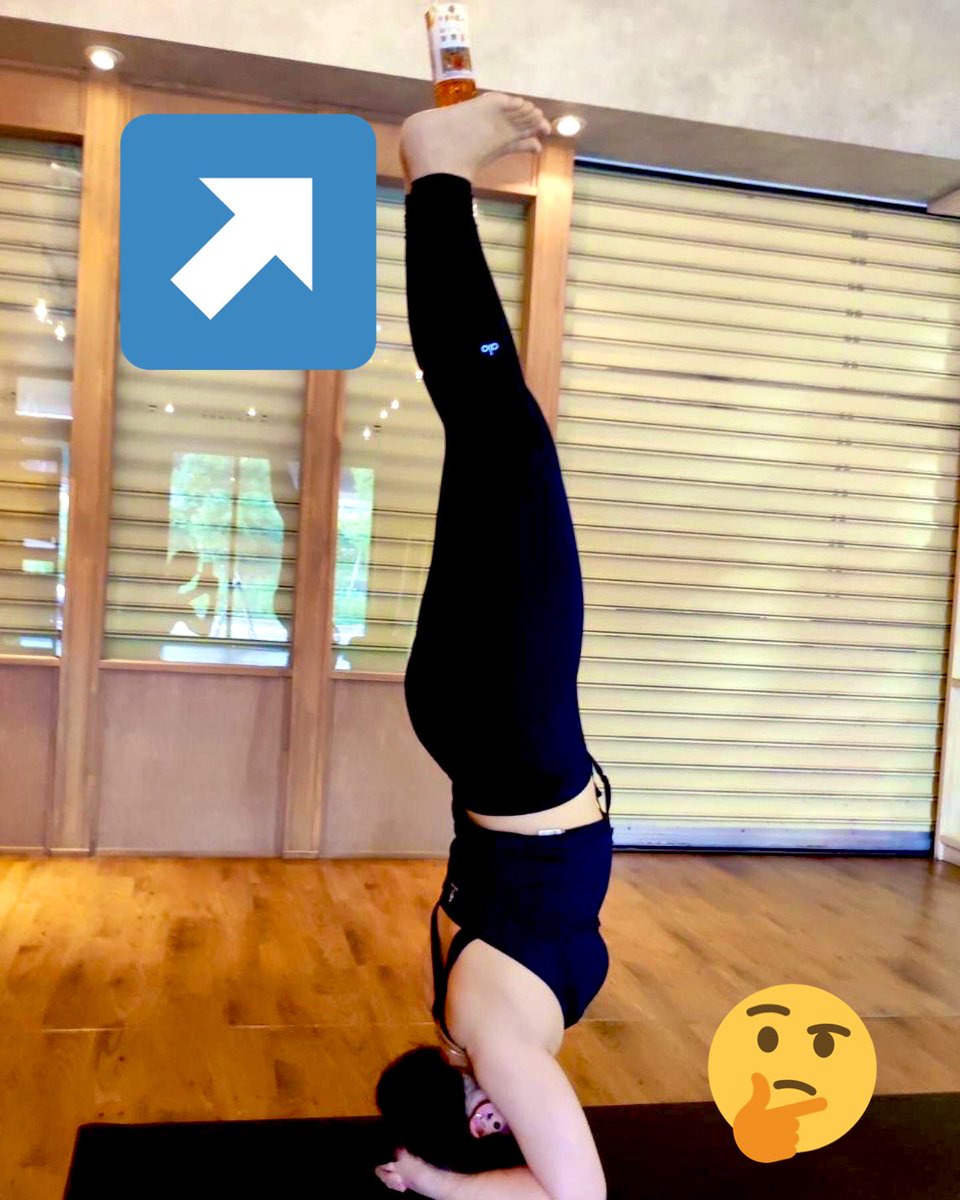 逆立ち Twitter Search Twitter 逆立ち Twitter Search Twitter