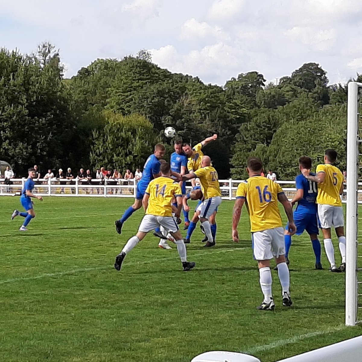 Nigel Taylor tweet media