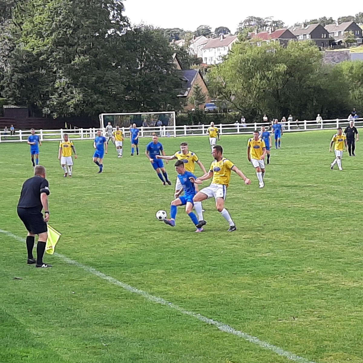 Nigel Taylor tweet media