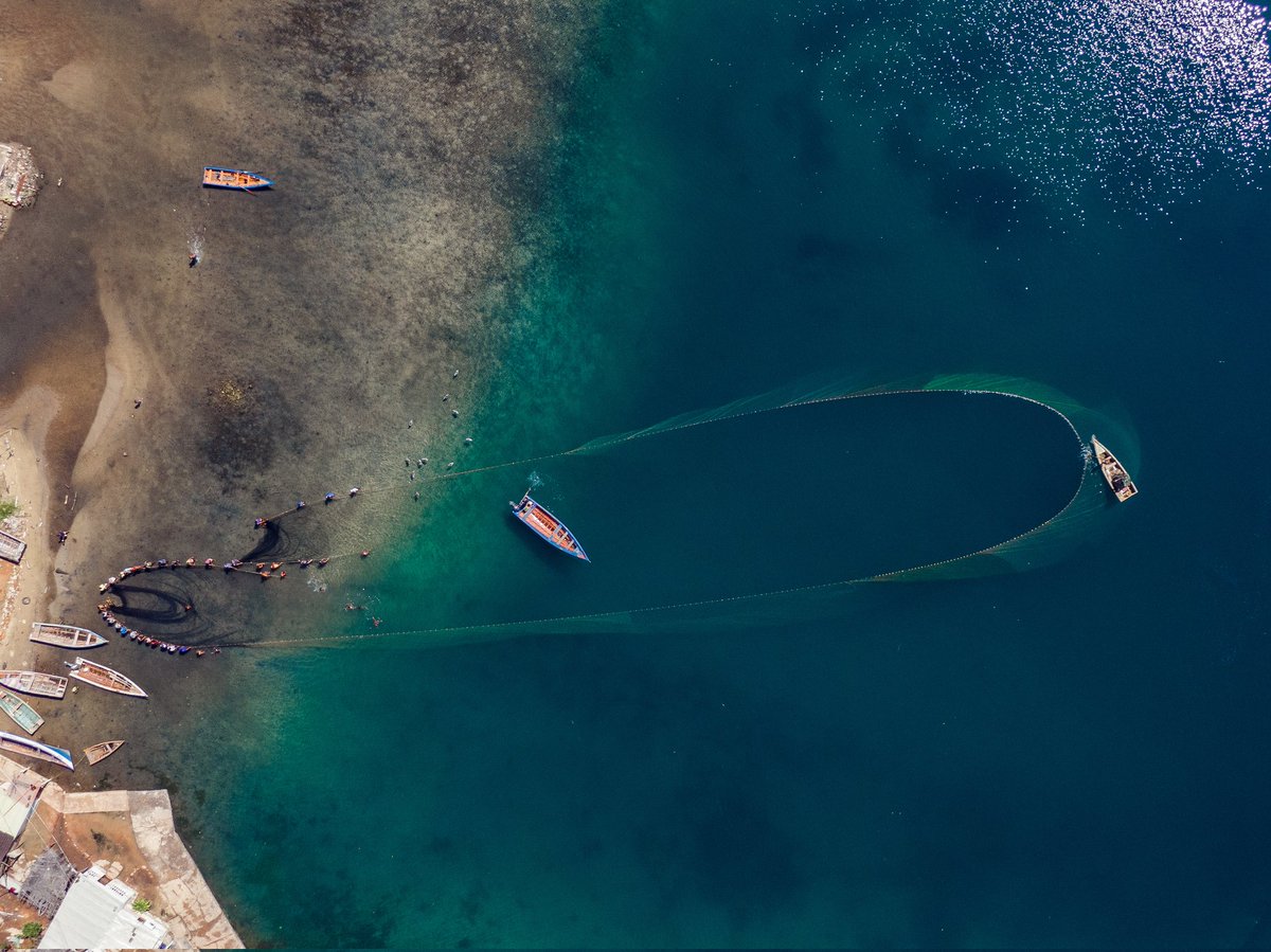 tineophoto's tweet photo. Pesca artesanal de Cojinoas con chinchorro.

@tineophoto https://t.co/0qLS9DmHCd