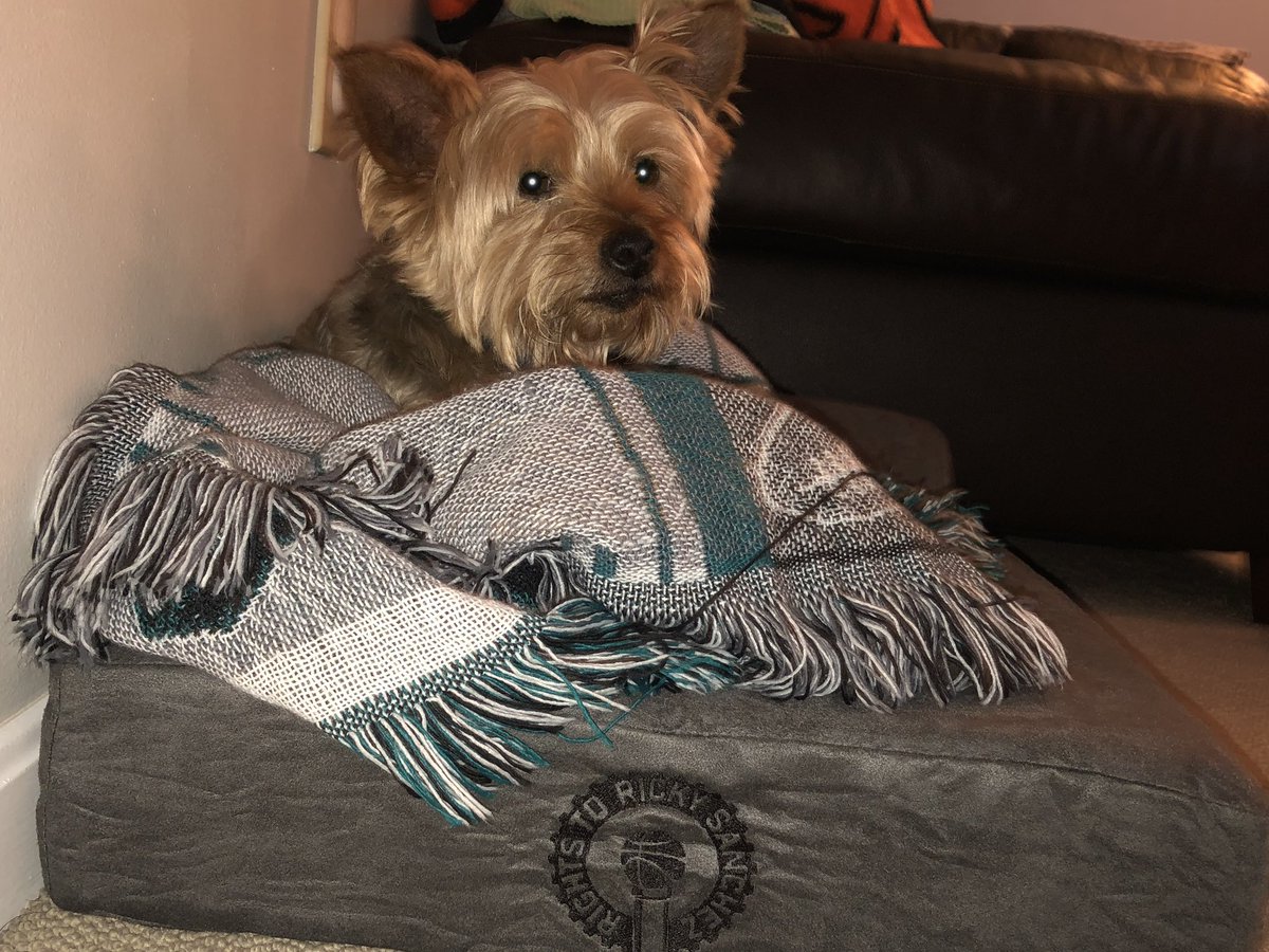 RTRSPodcast's tweet photo. Buddy was an OG @bigbarkerusa #ProcessPup that crossed the 🌈 bridge this week at 17 years old. Buddy was a tough little guy who loved Sean and the rest of his family. We send all of our love and prayers to Buddy's family. https://t.co/9uXCrgTlfM