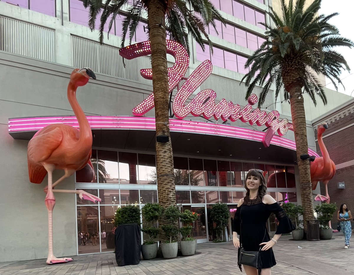 PinkBird_Tweets's tweet photo. Just me with some Pink Birds https://t.co/B4rPfL5Gtk