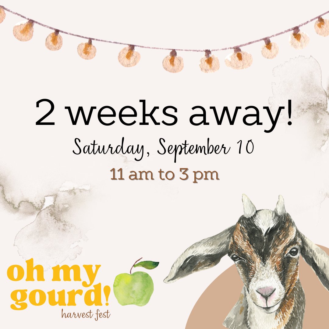 Come one come all to Oh My Gourd Harvest Fest Saturday, September 10 at Sellwood Community House! Goats, music, crafts, food, tons of family fun to celebrate the beginning of Fall.  Get your tickets here! eventbrite.com/e/oh-my-gourd-…
#harvestfest #omgharvestfest #ohmygourd