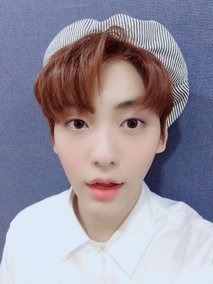 𝐏AW ℙ♡WER! (@pawscraft) / Posts / X
