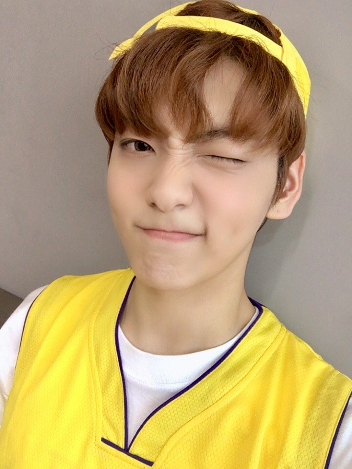 𝐏AW ℙ♡WER! (@pawscraft) / Posts / X