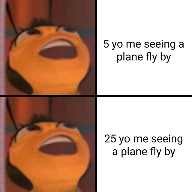 WholesomeMemes (@wholesomememe) on Twitter photo 