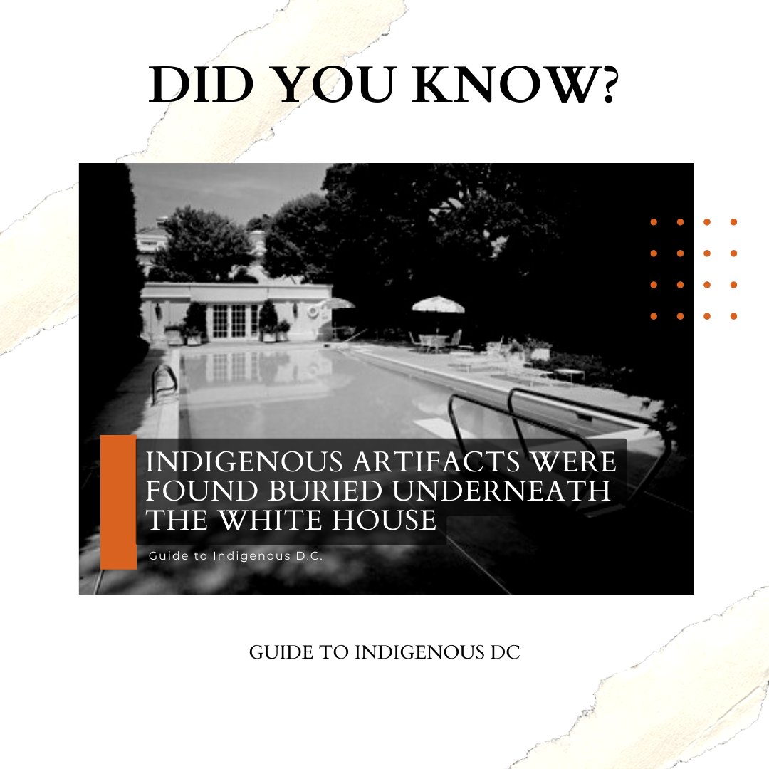 IndigenousDC's tweet photo. Did you know that Indigenous artifacts were found on White House grounds?

Learn more by using the link in our bio to download the Guide to Indigenous D.C. on iOS/Android 📲💡

#Indigenous #Native #NativeAmerican #GuidetoIndigenousLands #GuidetoIndigenousDC #DC https://t.co/kX7GqTnEwn