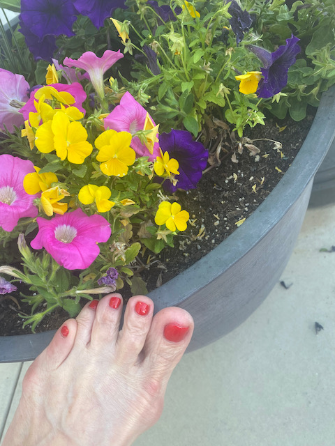 TW Pornstars - 1 pic. Air Force Amy. Twitter. foot fetish, toes, nails