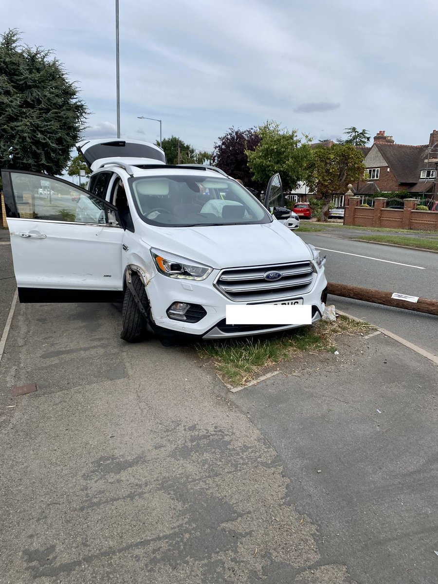 PD Xena & PD Teddy tweet media