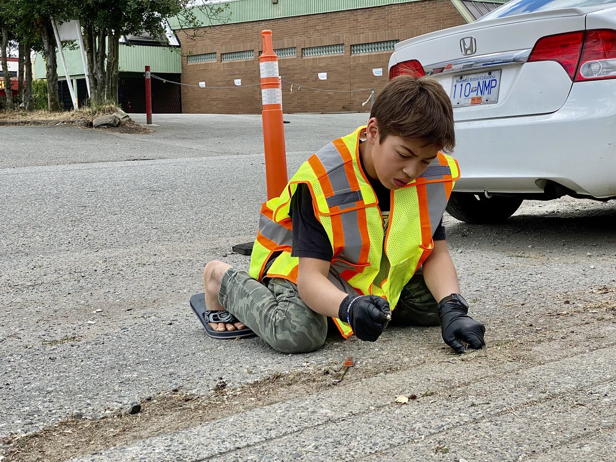 OddSquadProd's tweet photo. Some more photos of the Odd Squad ⁦cleanup around the ⁦@CityofBurnaby⁩ Lane St neighbourhood we call home! We will be starting our Police Judo Junior programs for the Fall soon &amp; expect to have a busy and productive Fall season helping youth develop! #thinkprevention https://t.co/xLHQwYagBu