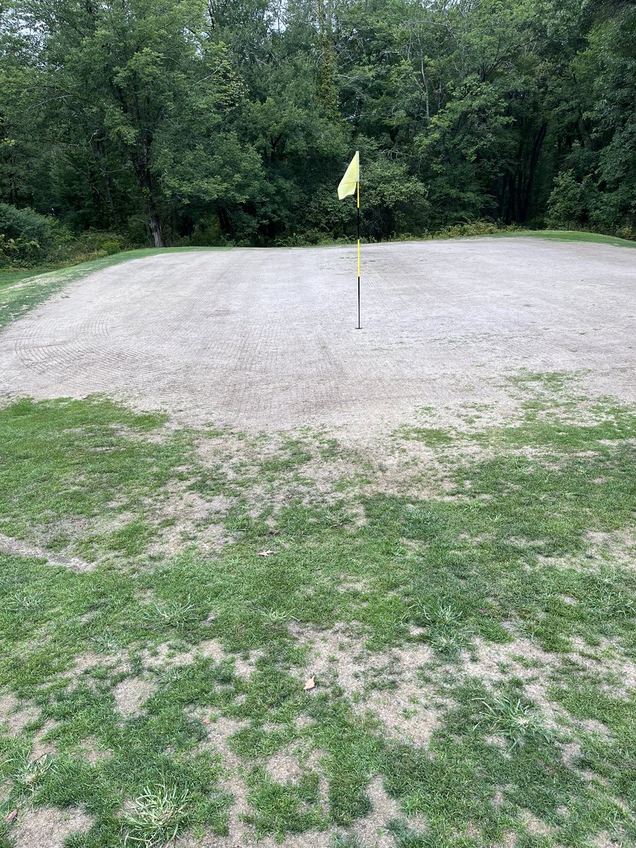 Ⓜ️att Tomko tweet media