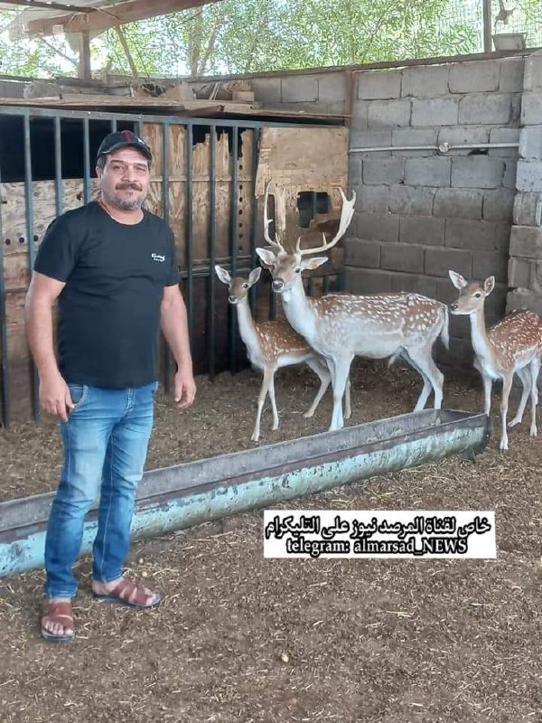 jajanwo's tweet photo. غداً بإذنه تعالى
العشاء ( مفطح غزلان ) حسب الجدول المعلن ليوم الأثنين ٢٩ / آب ٢٠٢٢ في مضايف قبيلة بني لام أمام مجلس الشعب في الخضراء 

الشيخ مرتضى ال قمندار اللامي https://t.co/5UZXPMyQOT