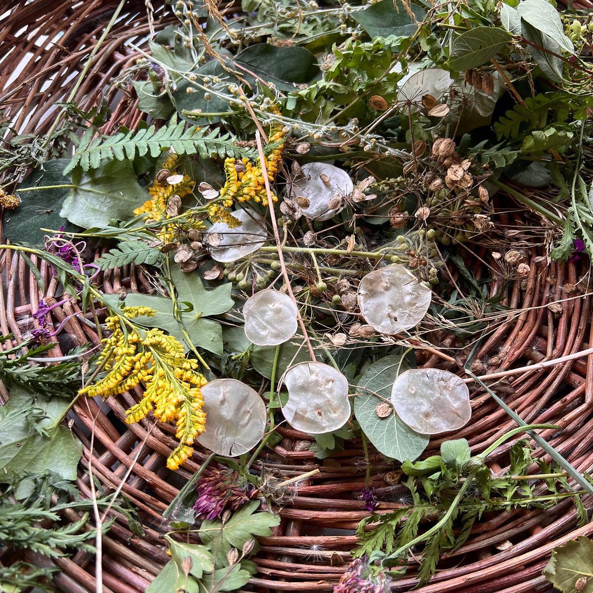 CreativeBCuk's tweet photo. Crafting with nature and making cyanotype loveliness with @hollyomearaart this afternoon @_RiversideHouse 🌱💚🌱

#SummerOfCreativity https://t.co/z8vUi5jcGA