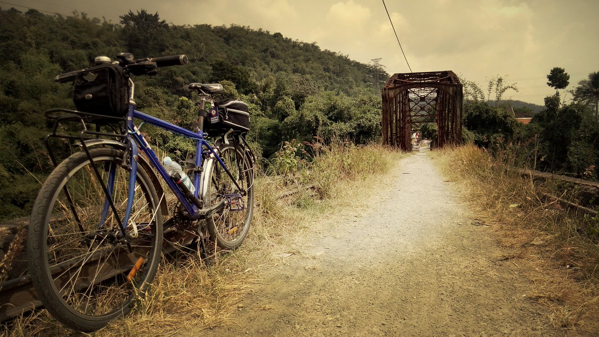 Pedal Muih tweet media