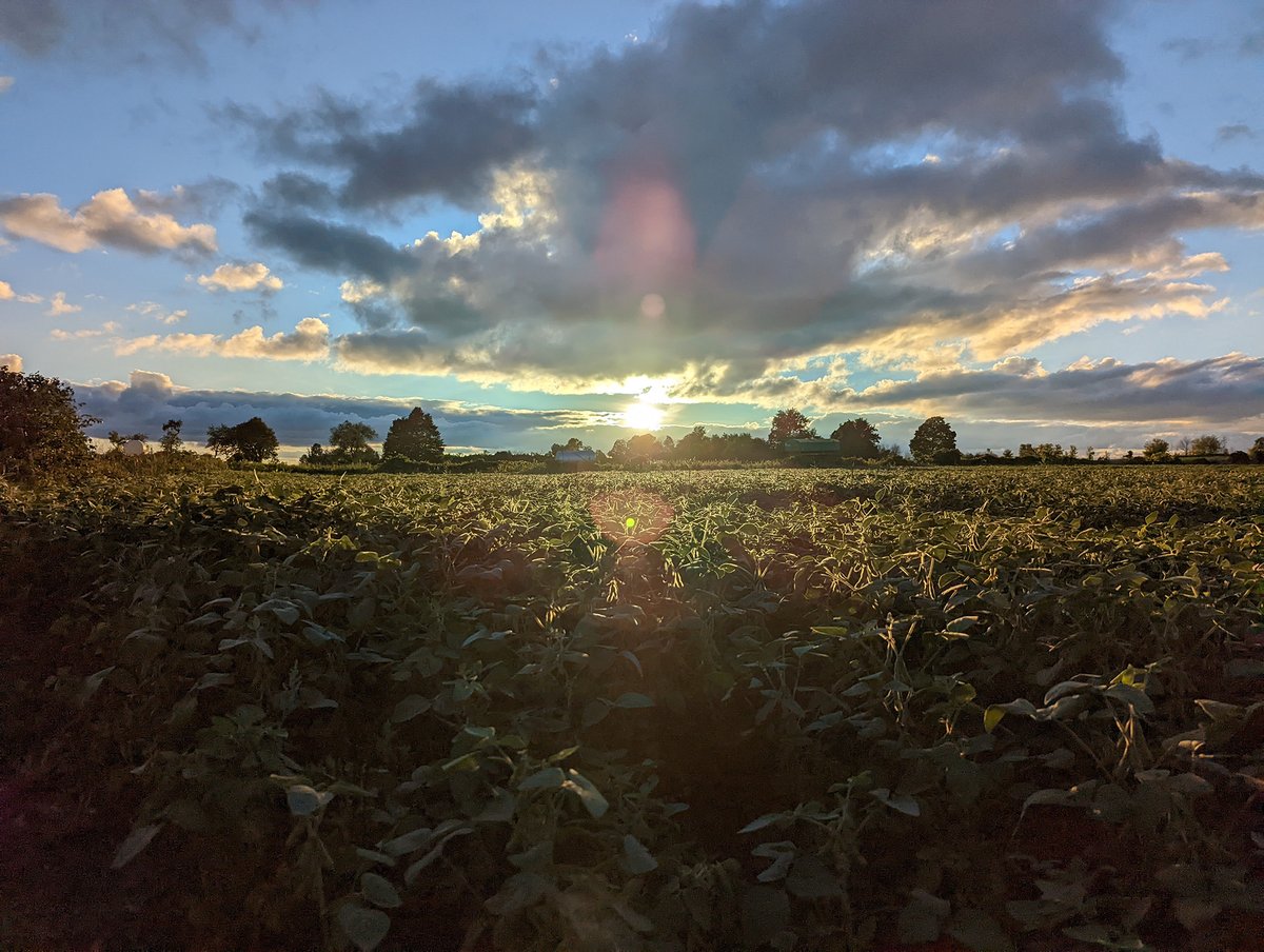 Lindz 🇨🇦 I've Been B✈t! tweet media