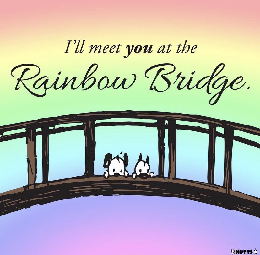 Rainbow Bridge Remembrance Day