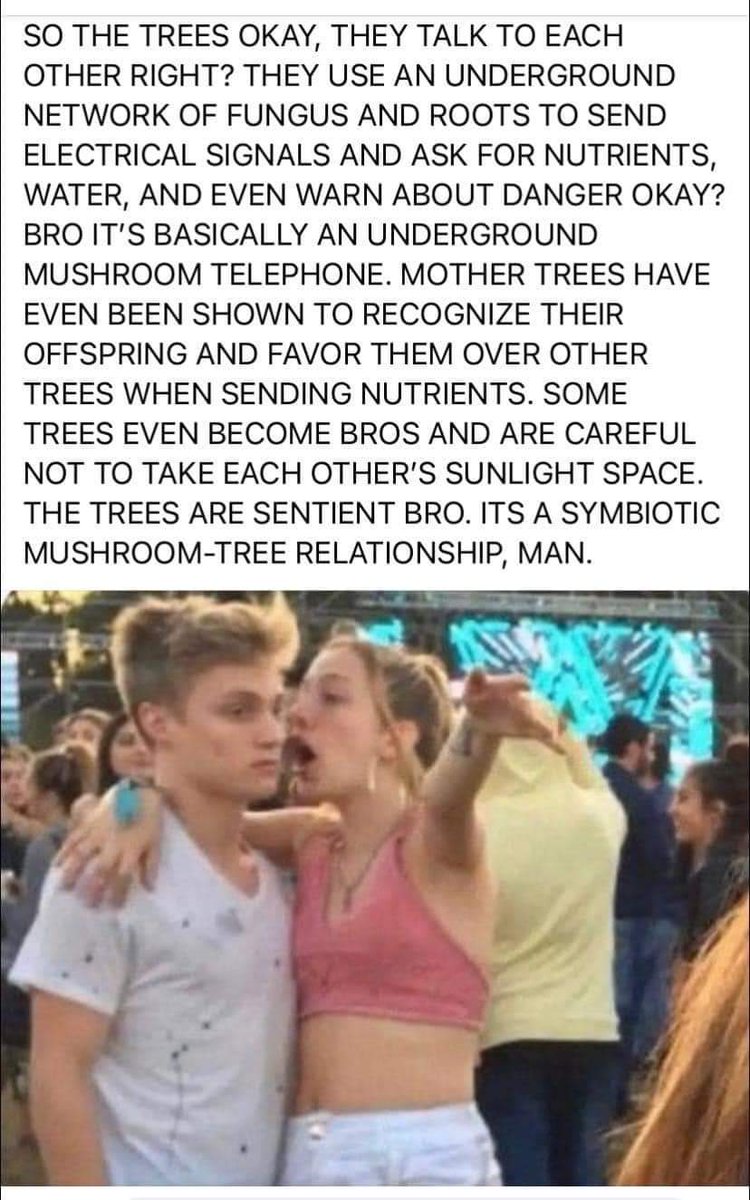 Solid World tweet media