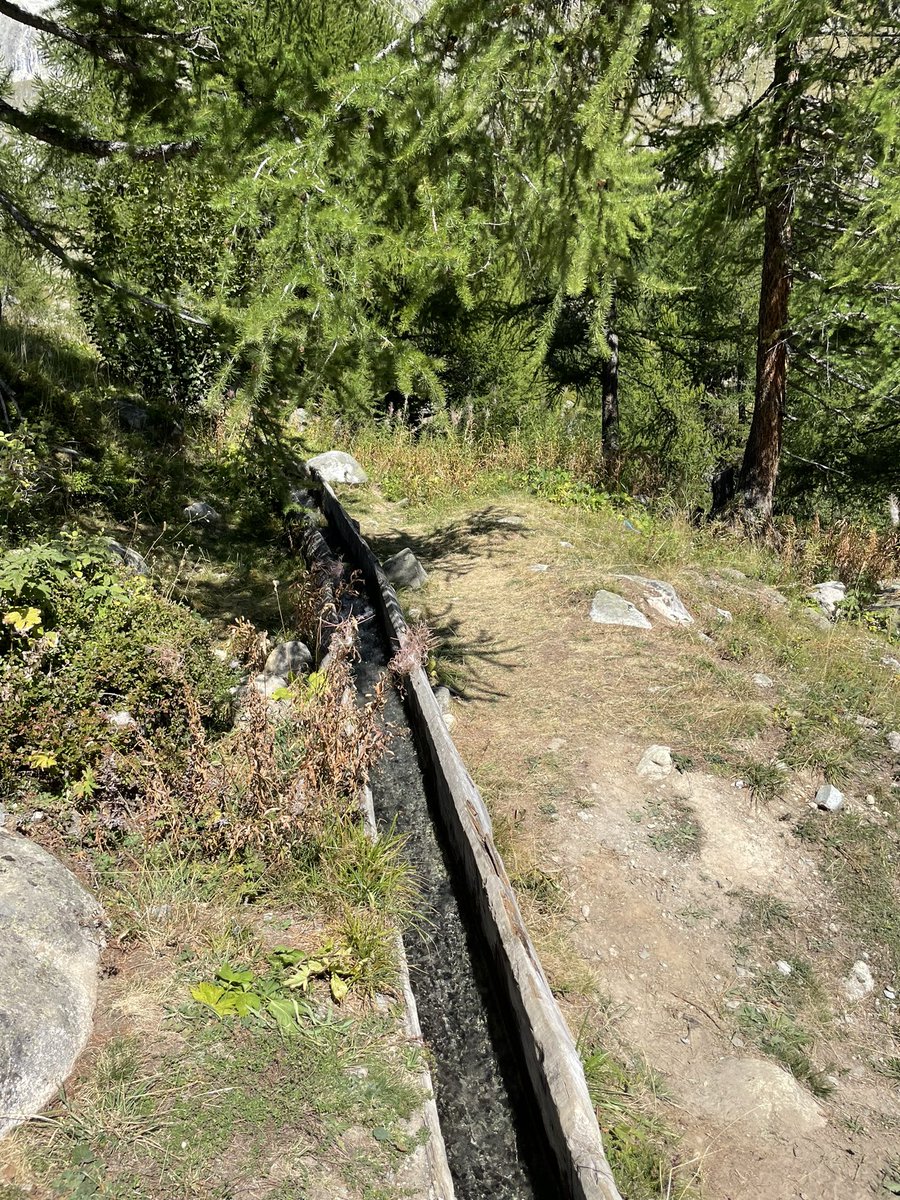 natalieimboden's tweet photo. 600 Jahre später. Die #Suonen (Bewässerungssysteme) aus dem 14. Jahrhundert werden wegen der Klimaerwärmung wieder aktuell! #Kulturtechniken https://t.co/5Wy0X217PG