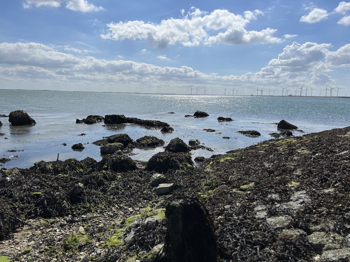 Marcel Hoefs tweet media