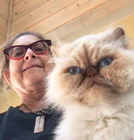 Kathlee54272830's tweet photo. Homer here-with mommy-thank you for all my new followers! This will help us follow more pals😻 https://t.co/LrauQH7gth