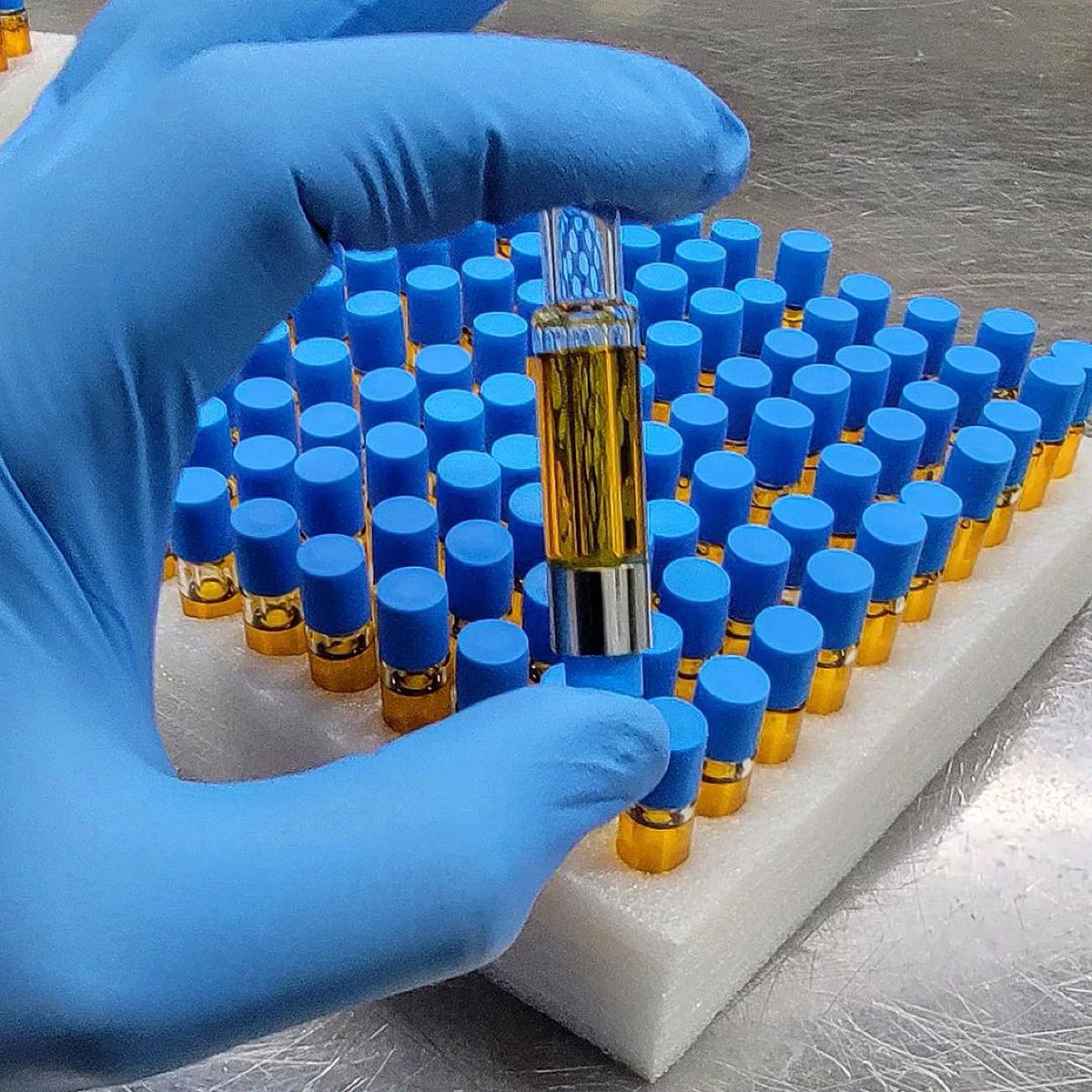 O2vape's tweet photo. From @trichome__extracts
•
Need high potency & great flavor? We've got you covered, Mango Runtz Applesauce carts will do the trick. 80% cannabinoids, 9.5% terpenes.
@diamondleaf_wa
@o2vape
#trichome__extracts
#dablife #weshouldsmoke #terps #glassvegas #mjbizcon
#dabstars https://t.co/yEzKKOZEGA