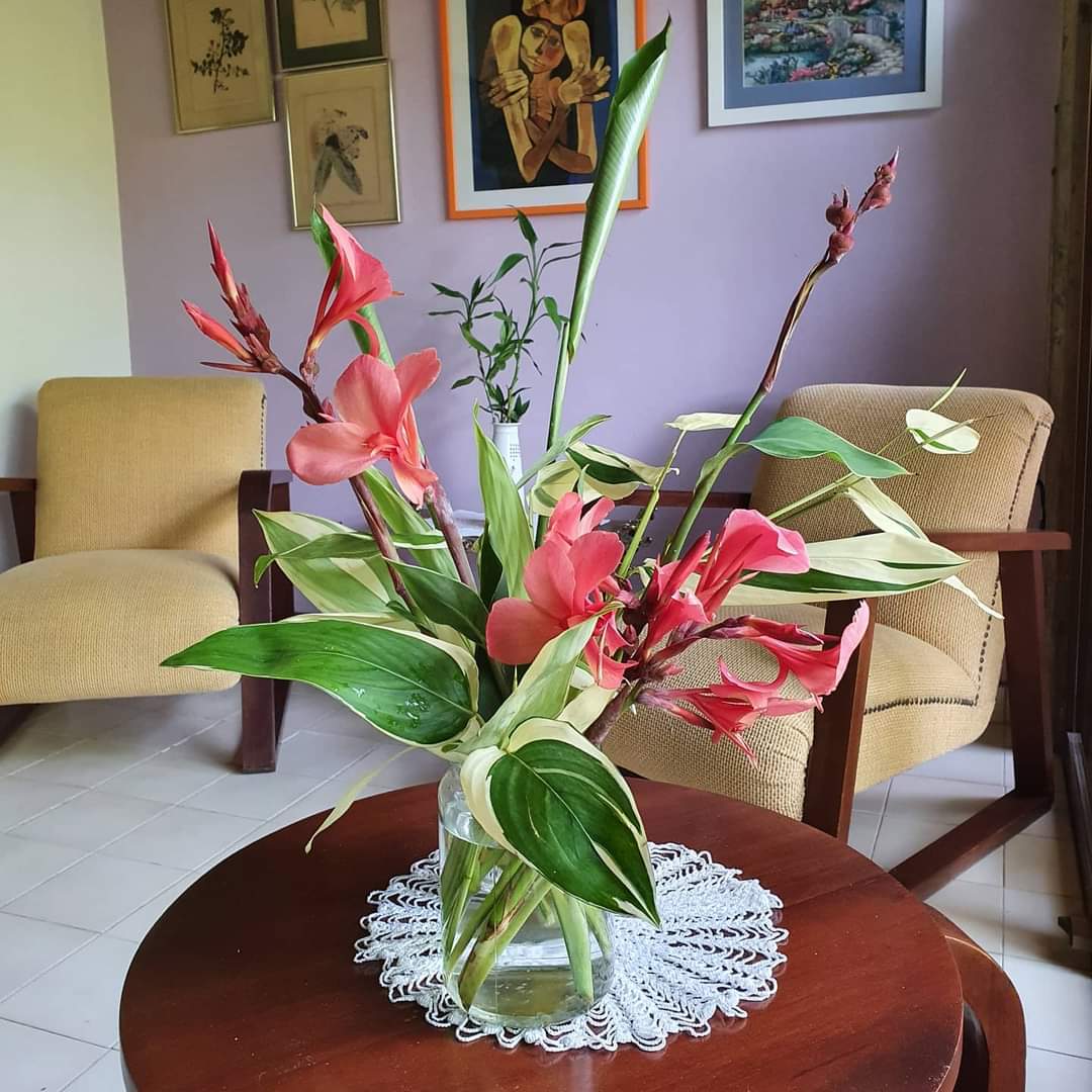 soniagracielah1's tweet photo. Jarrones, floreros no pueden faltar en ningún hogar gracias al especial toque que le agregan a los espacios.
#jarrones #floreros
#vases #homedecor
#interiordecoration
#home #sundayvibes #goodmorning #flowers #sheets #bicolour #Flowers #beautiful #decoration
#homeinflowers https://t.co/0hDYzHGrQq