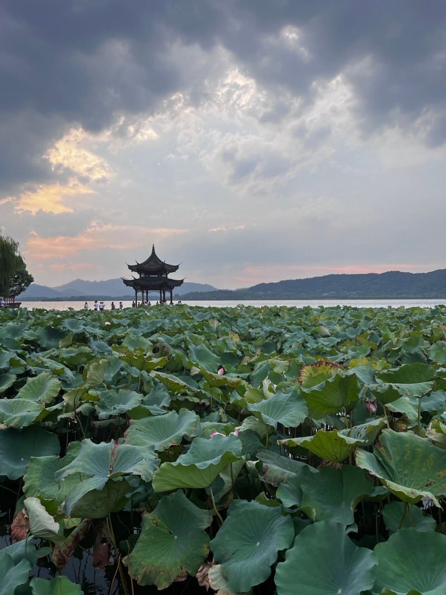 Enfufumo's tweet photo. This is West Lake https://t.co/iXCVA6oMmW