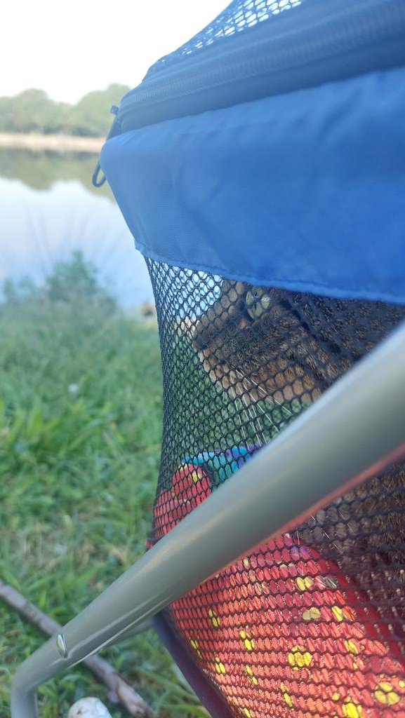 Had a 1 hr easy run on my training schedule for this morning. 
Skipped it to take her to the lake. 
Best decision I've made all week!