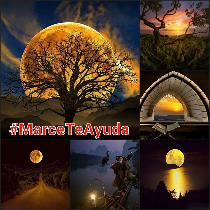 🕉MARCE🐉🏆 #MarceTeAyuda🔮 #PrimeroDios✝ tweet media