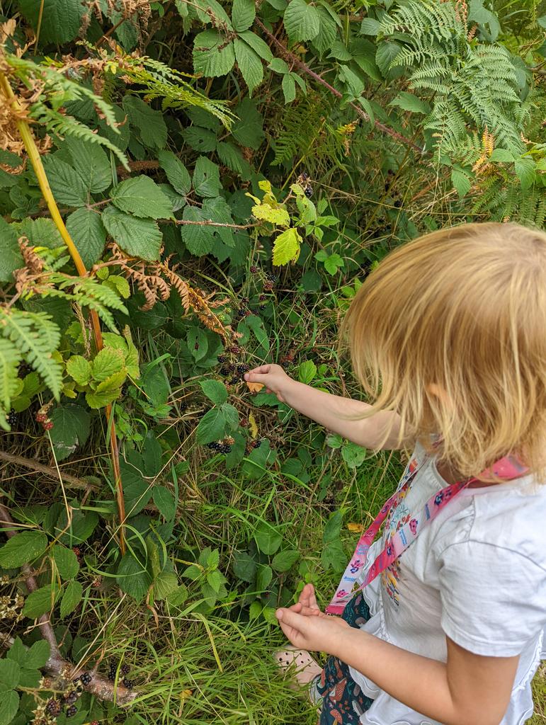 rachyjc82's tweet photo. Lovely little walk in beautiful Cannock Chase, even found some yummy blackberries! 😊 #NursesActive #FamilyActive @mpftnhs @WeNurses https://t.co/rxA8Rw8WMm