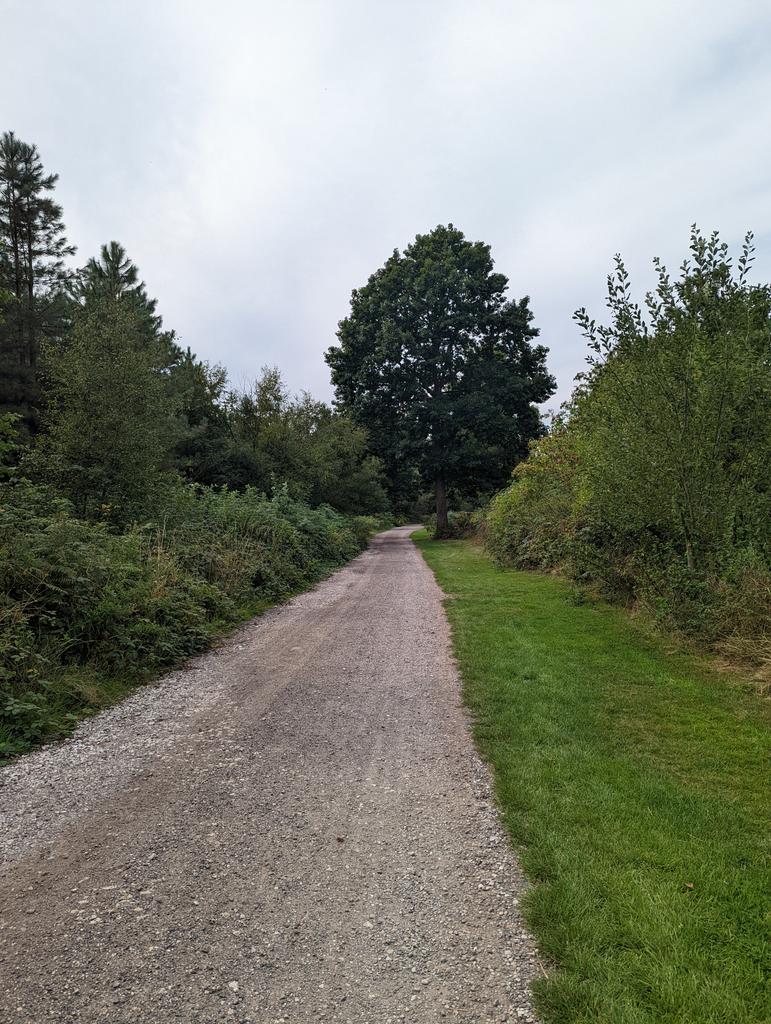 rachyjc82's tweet photo. Lovely little walk in beautiful Cannock Chase, even found some yummy blackberries! 😊 #NursesActive #FamilyActive @mpftnhs @WeNurses https://t.co/rxA8Rw8WMm