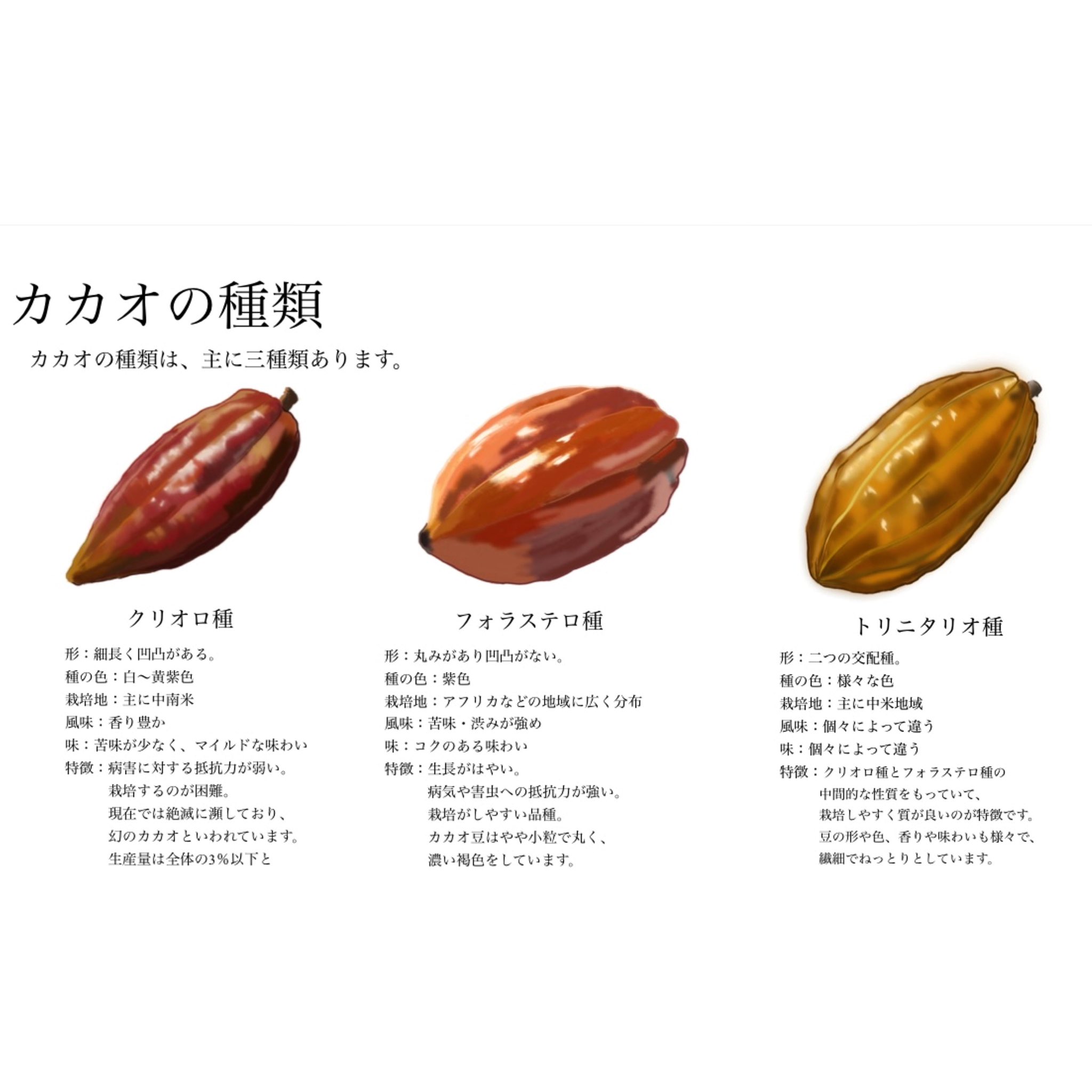 パルップ Kakao Paruppu Twitter