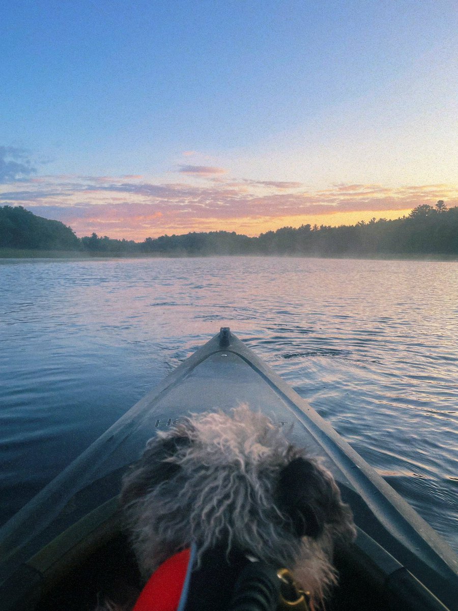 Morning paddle with my best bud ❤️