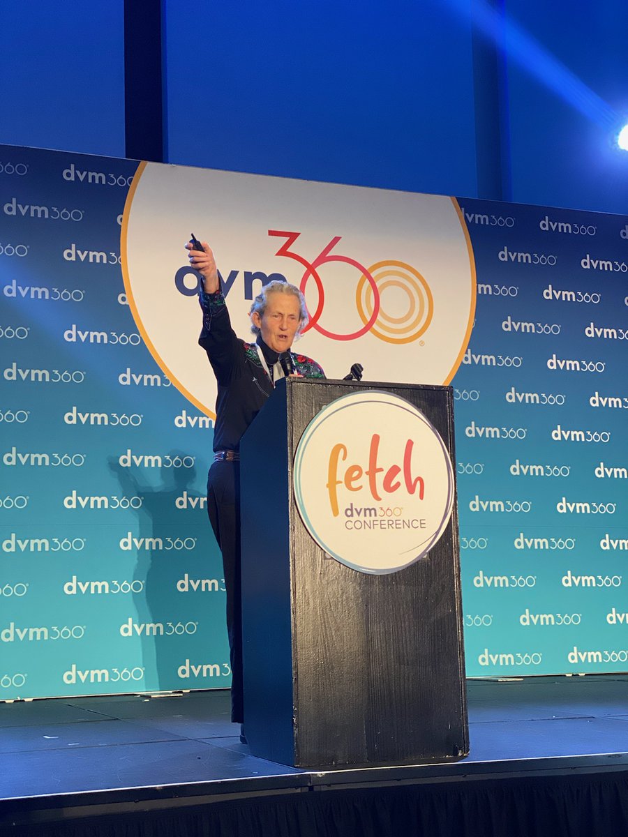 fetchdvm360's tweet image. Temple Grandin, PhD, MS takes the  stage as our Keynote presenting Insights into Understanding Animal Behavior this morning at Fetch Kansas City conference. She says, &quot;you need to know that animals live in a sensory-based world...&quot; Learn more: ow.ly/4Uek50KtU5K #FetchKC