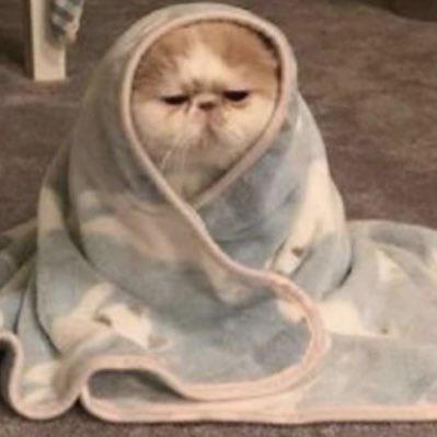 not__sakura's tweet photo. #NewProfilePic https://t.co/zPyN3eD7nt