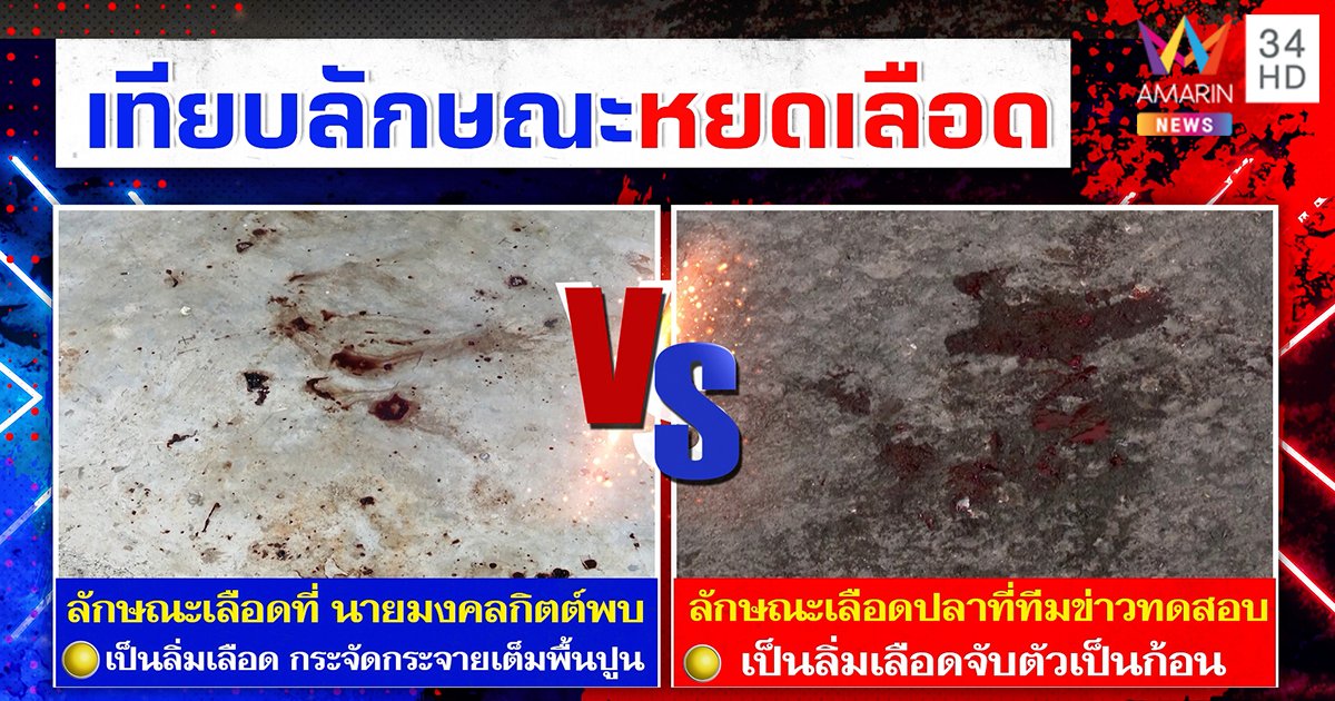 Hellmonkeyy5432's tweet photo. "เลือดปลาดุก"? แต่รีบไปล้างออก พอข่าวชี้เป้าว่าเป็นจุดทำปลาของชาวบ้านดันมีคนไปล้างซะเกลี้ยง แค่สงสัยแต่คำตอบมันไม่ชัดเจน ย้อนรอยเลือดปลาดุกแถวถ้ำค้างคาว  #แตงโมต้องได้รับความยุติธรรม https://t.co/PNZO5xZ8lf