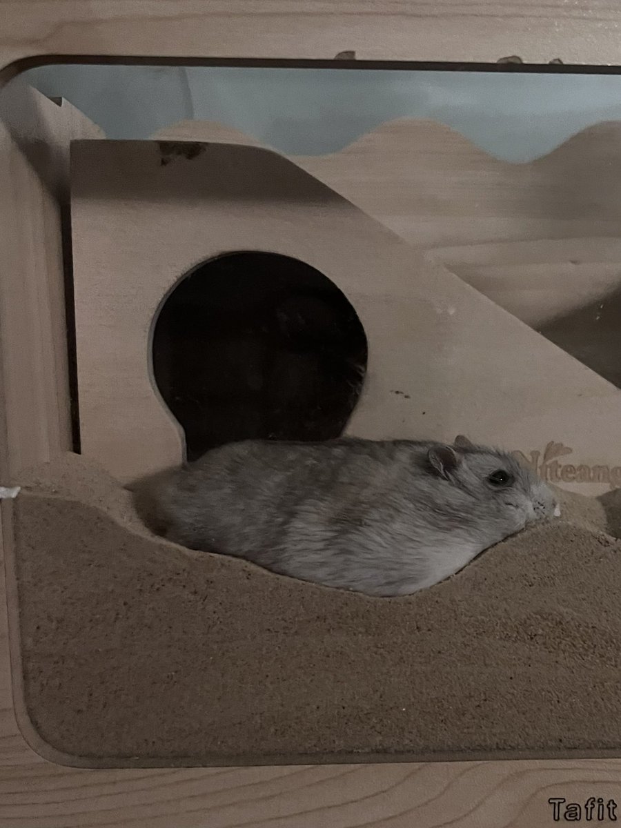 웃겨.. 지 뱃살 들어갈 홈도 만들고..