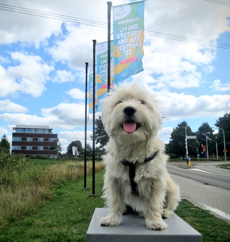 mdekker55's tweet photo. Zaterdag 10 september evenement 'Living Statues and Art Festival' winkelpromenade Kerkbuurt in #Sliedrecht mooie promotie met de vlaggen. https://t.co/JQ9XM6inCB