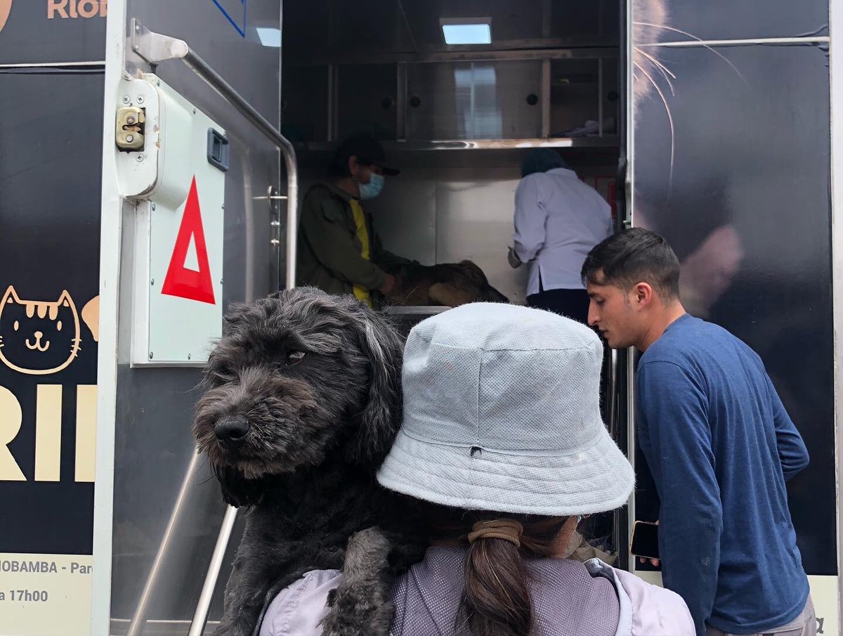 RioCapitalAnima's tweet photo. ✅ 55 esterilizaciones en la Plaza Alfaro 🙌🏻🤩🥳

En el cuarto día de la “Gran Campaña de Esterilizaciones” queremos agradecer a Bomberos Riobamba Plaza Artesanal del Tren Riobamba y al UPC de la Estación por su apoyo y apertura para realizar la campaña.
#Riobamba https://t.co/ZRgj1AhEql